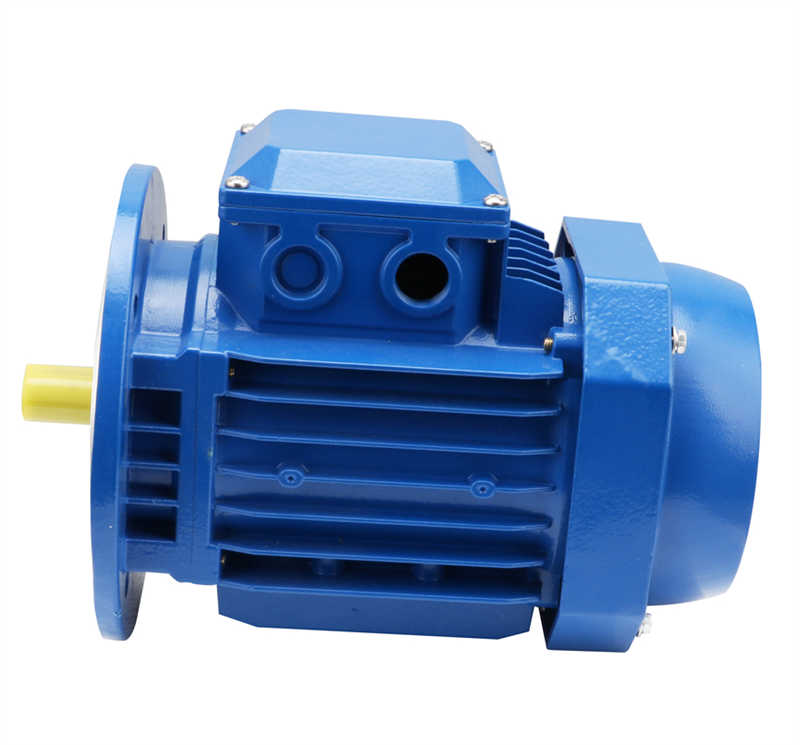 Ms Ys Series Synchronous Three Phase AC Electric Motor Geared Motor