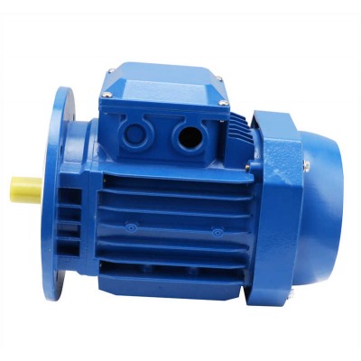 Ms Ys Series Synchronous Three Phase AC Electric Motor Geared Motor