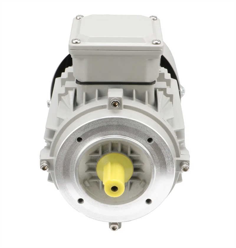 Ms Ys Series Synchronous Three Phase AC Electric Motor Geared Motor