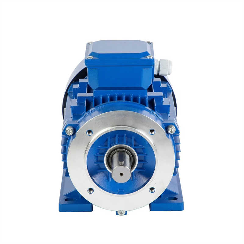 220 380V 4p Ie2 Aluminum Housing Three Phase Induction Electric Motor