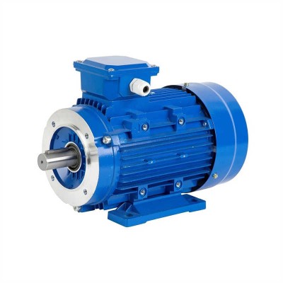 50/60Hz Three Phase Asynchronous Induction Electric Motor