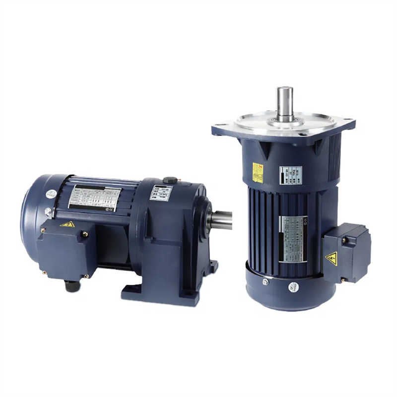 Customized Three-Phase Micro Small AC Motor for Filling Machine