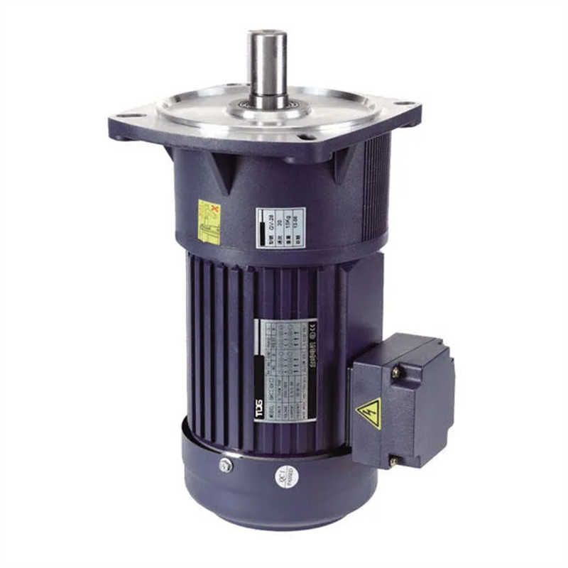 Micro AC Gear Motor with ISO9001