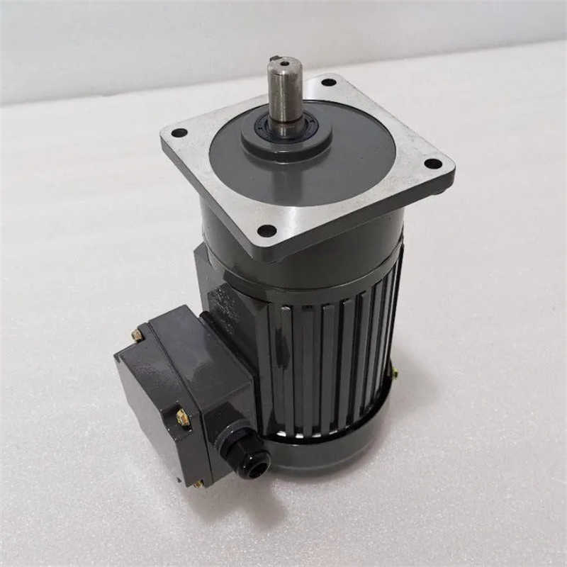 Micro AC Gear Motor with ISO9001
