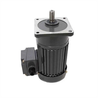 AC Small Gear Reduction Motor with ISO9001