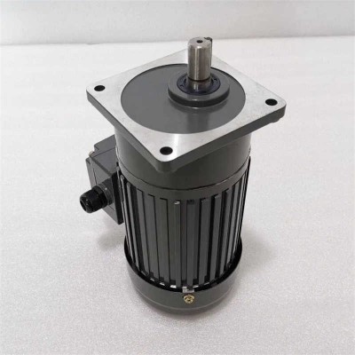 Factory Direct Sale AC Small Gear Motor for Machine