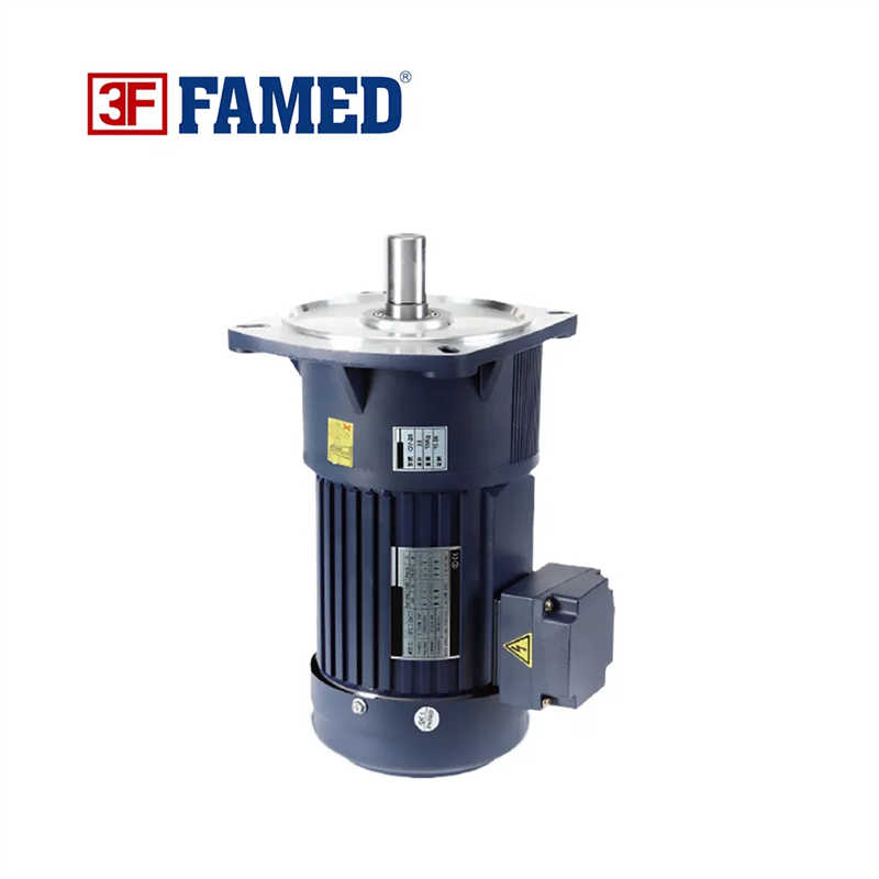 Single Phase Small Electric AC Gear Motor for Machine