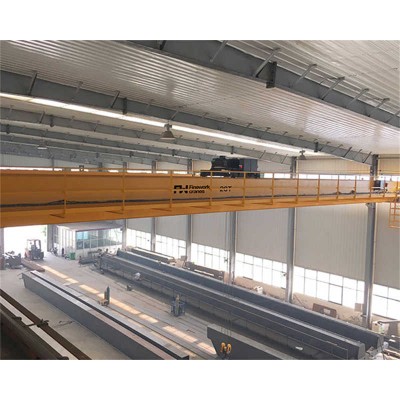 Low Headroom 16t European Double Girder Crane for French Factories