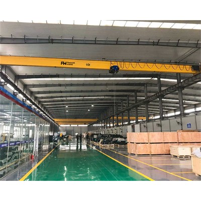 ISO & CE 6.3t European Style Single Girder Crane for Warehouses