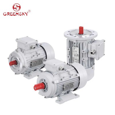 Single Phase AC Induction Motor Low Noise Electric Motor for Machinery
