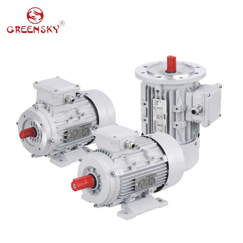 0.55kw-315kw Three-Phase AC Induction Asynchronous Electric Motors