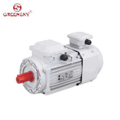 0.55kw-315kw Three-Phase AC Induction Asynchronous Electric Motors