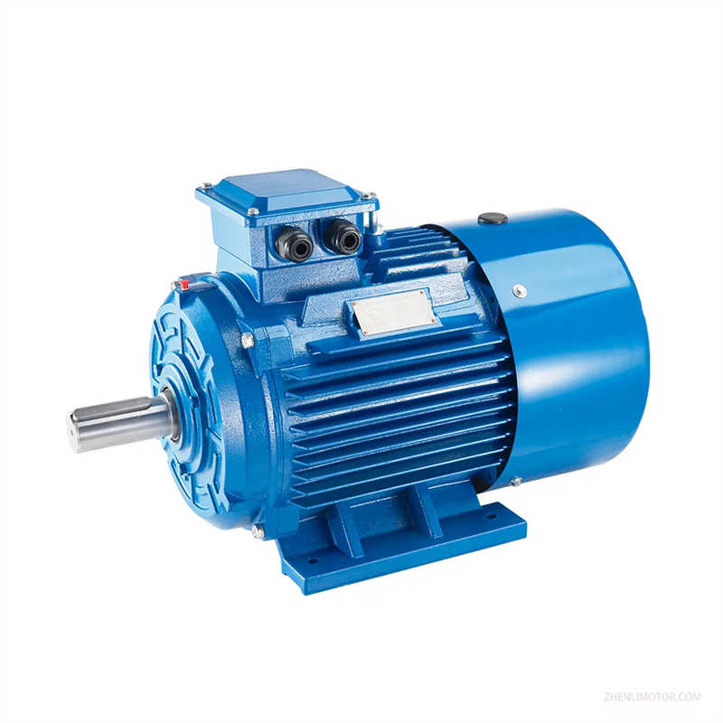 Xinnuo Ms Three Phase Electric Motor with Aluminium Housing Ms63m1-2