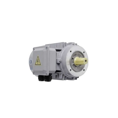 380V High Voltage AC Electric Motor Three-Phase Induction Motor