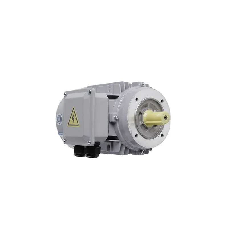 High Torque Three-Phase Variable Speed Drive Asynchronous Motor