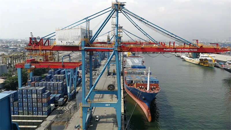 Customizable STS Type Container Handling Cranes with 60 Ton Capacity