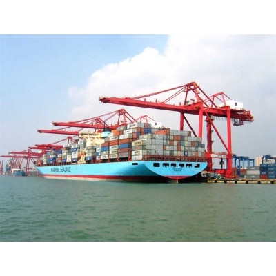 STS Cranes 50 to 90 Ton Customizable Lifting Capacity for Any Terminal Layout