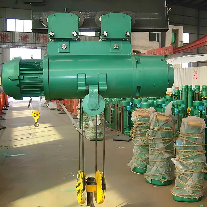 Double Speed Electric Wire Rope Hoist Offering 10 Ton Lifting Capacity