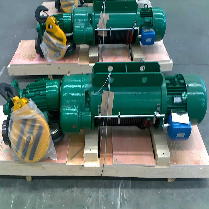 Remote Controlled Electric Wire Rope Hoist with 12 Ton Lifting Capacity