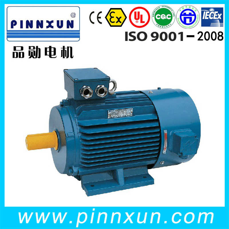 Induction Three Phase Fan Motor