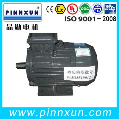 Y Series Three Phase Squirrel Cage Motor