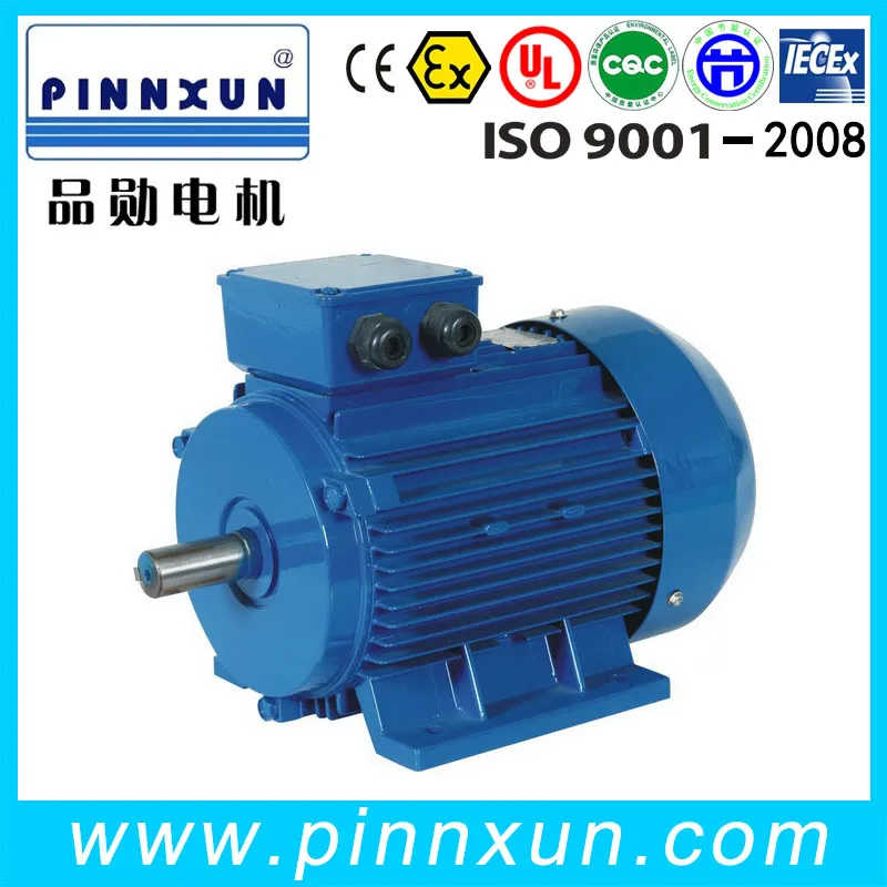 Three Phase AC Pump Motor 400V