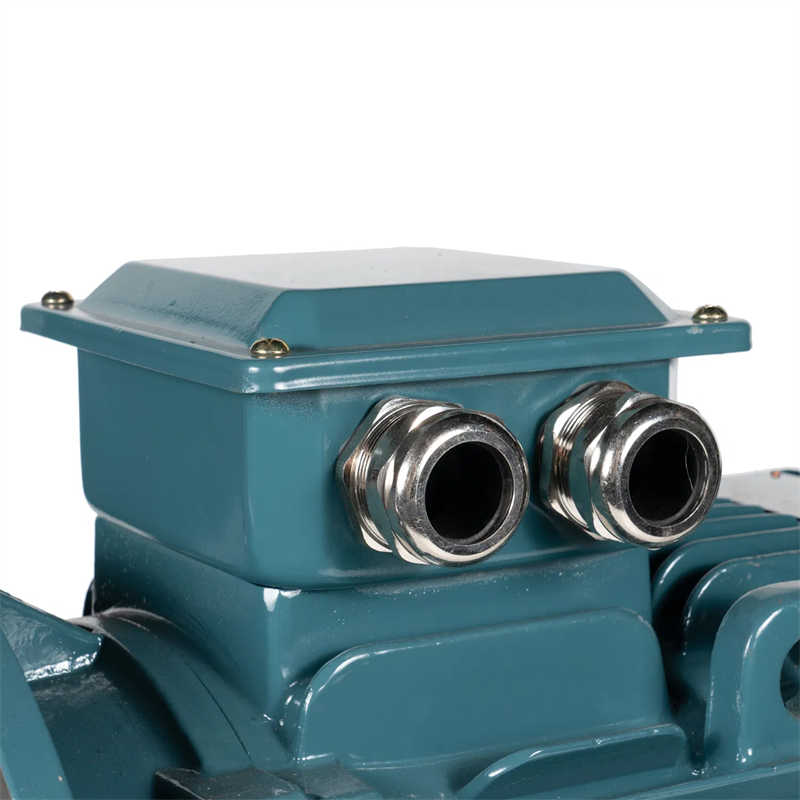 Ye3/Ye4/Ye5 Series Three-Phase AC Induction Motor 380V 20HP 25HP 30HP