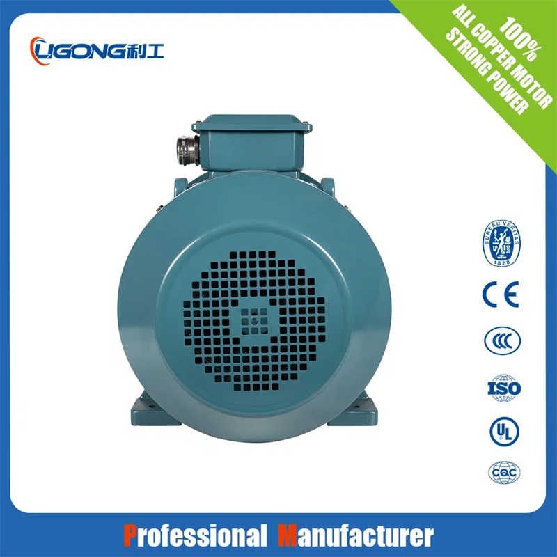 Three-Phase Asynchronous Motor 380V Mounting for Packaging Machinery