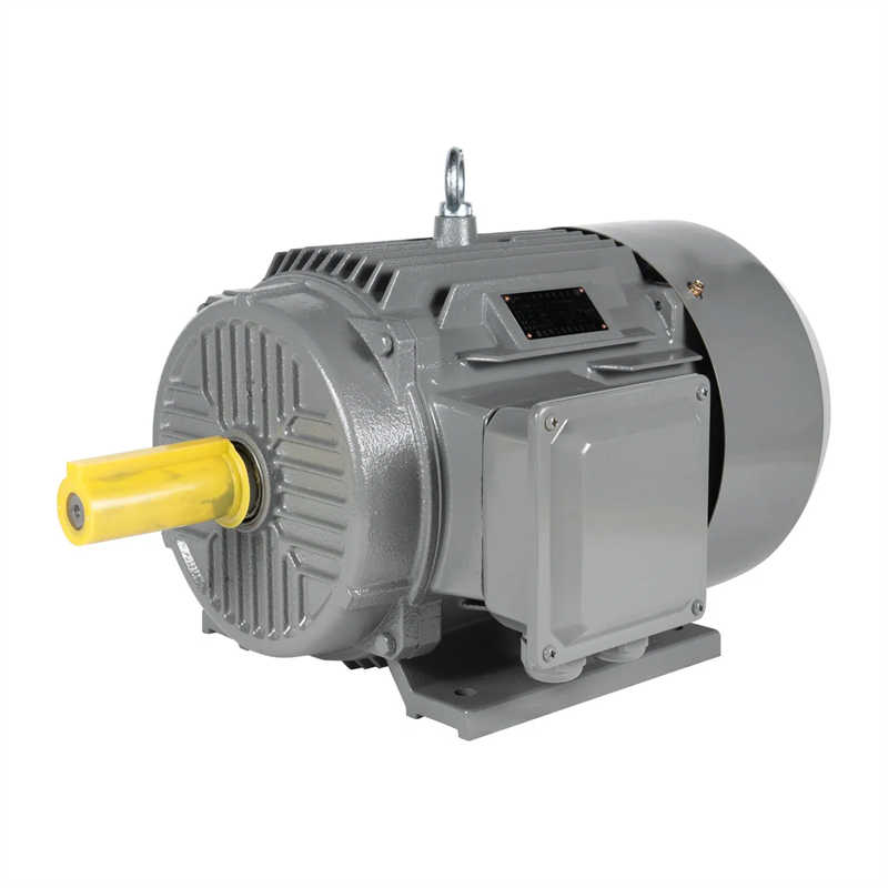 Durable 30HP Three Phase Electric Motor for Agricultural Irrigation Systems