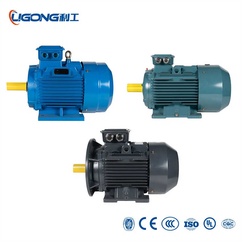 High-Performance 0.18kw-315kw Three-Phase Motor for Printing Machinery