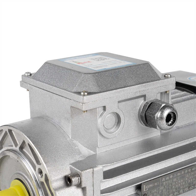 Ys 6312 180W 380V 2780rpm Three-Phase Asynchronous Motor