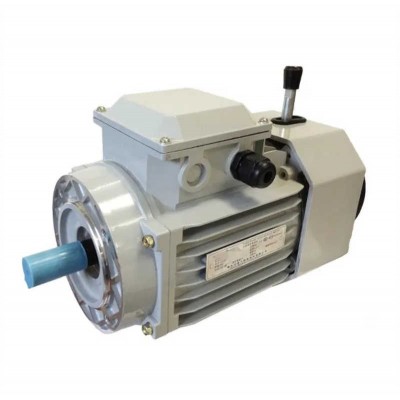 Yej Single Phase Industrial AC Electric Fan Motor Induction Brake Motor