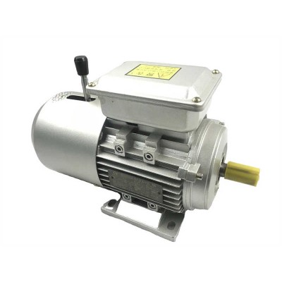 Small Powerful Electric Motors Magnetic Brake Motor for Russia