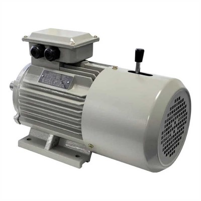 Yej Brake Motor Series Induction AC Motors Magnetic Brake Motors