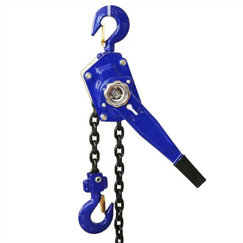 Adjustable Lever Hoist with Dual Pawls for Enhanced Safety and Control
