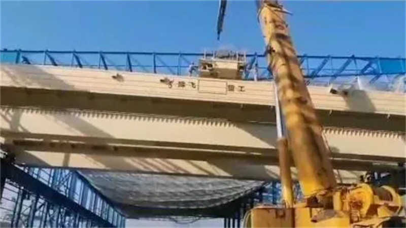 Custom Double Girder Crane for Power Houses and Heavy Industries