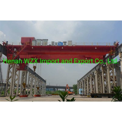 Double Girder Overhead Crane for Demanding Powerhouse Environments