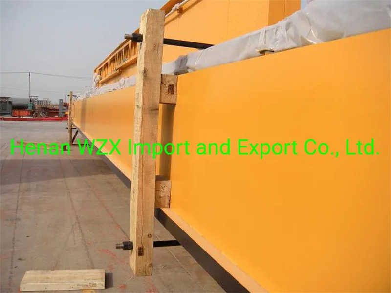 Double Girder Overhead Crane for Demanding Powerhouse Environments