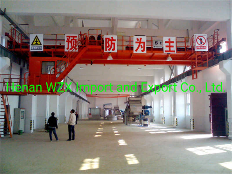 Double Girder Crane System for Heavy Equipment Manufacturing and Assembly