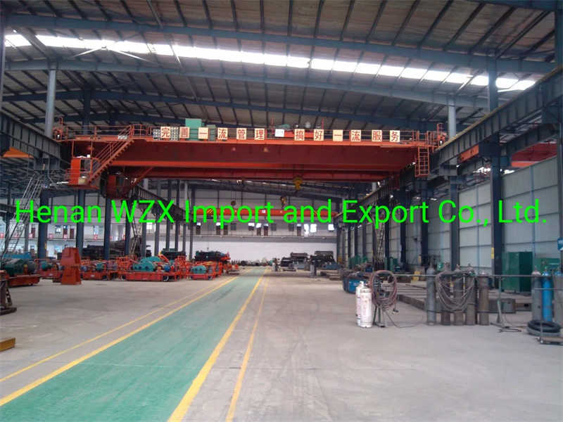 Double Girder Overhead Traveling Crane for Efficient Material Handling