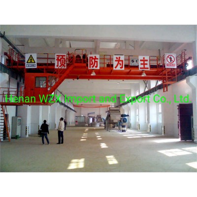 Double Girder Overhead Crane with Smooth Operation for Production Lines