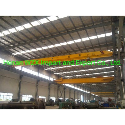 High-Capacity Double Girder EOT Cranes for Manufacturing and Assembly Lines