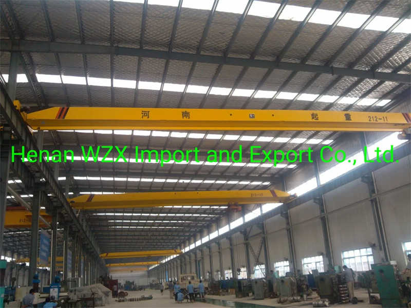 Customizable Double Girder Bridge Cranes with Precise Load Control
