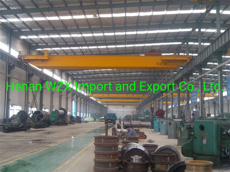 Customizable Double Girder Bridge Cranes with Precise Load Control