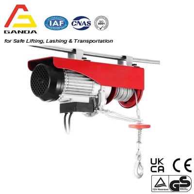 Lightweight 250kg Mini Electric Wire Rope Hoist for Overhead Lifting