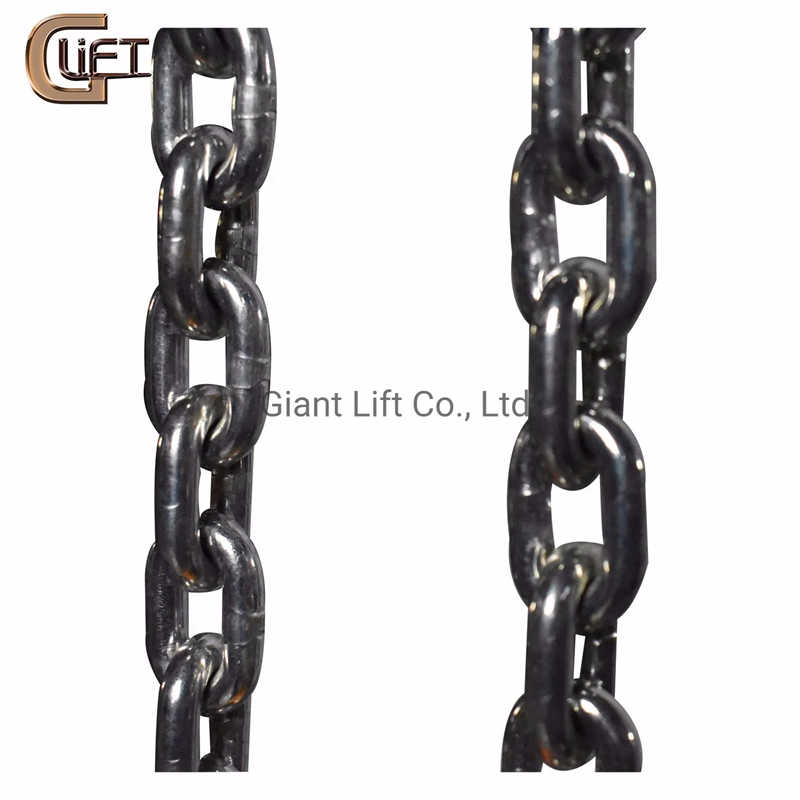 Light Duty 0.5 Ton Electric Chain Hoist for Workshops and Garages