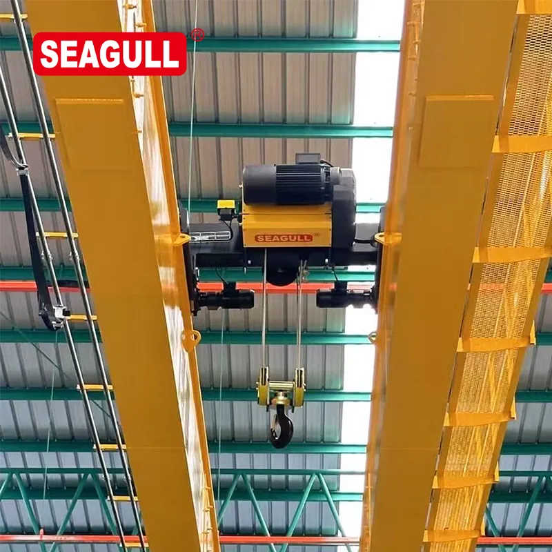 Single Girder Electric Wire Rope Hoist for Industrial Lifting