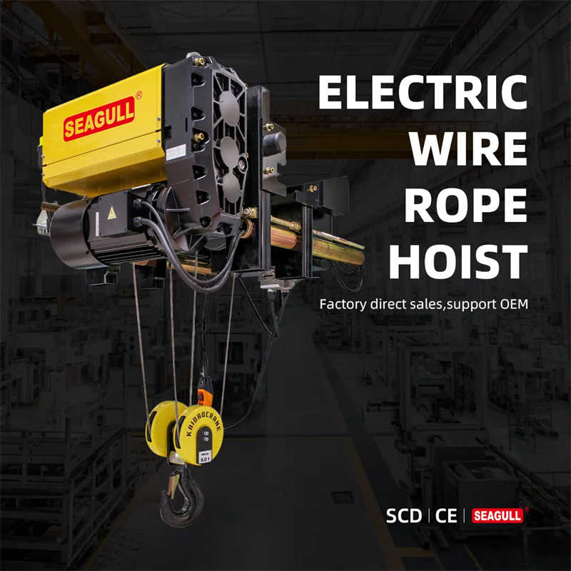 European Standard Wire Rope Hoist with Safety Brake System