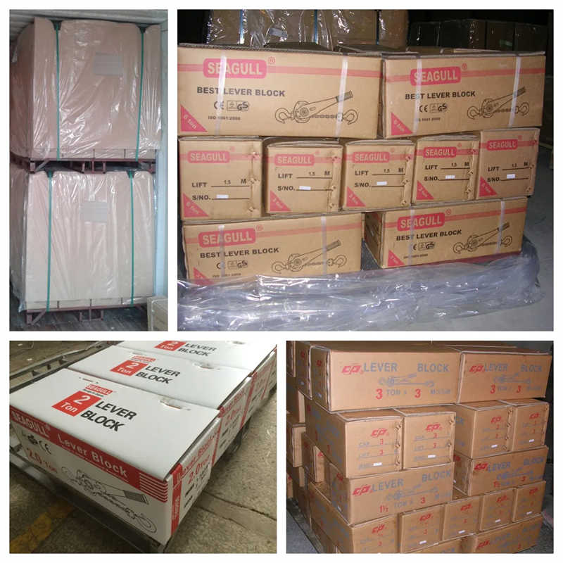 Heavy Duty 1 Ton Manual Lever Chain Block for Industrial Use