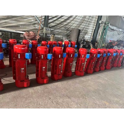 Low Headroom Electric Wire Rope Hoist with Dual Speed Control